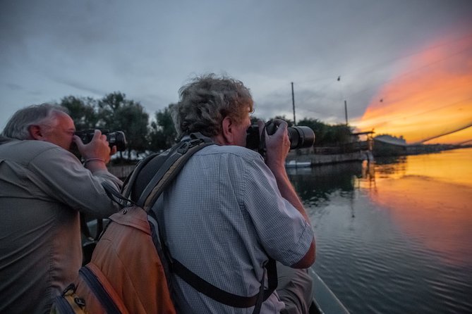 Birdwatching by boat in a small group in the Pialassa Baiona - Birds you might see in the shallow water