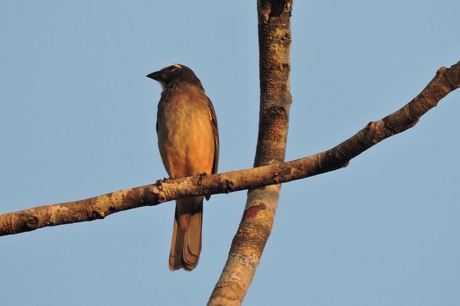 Birdwatching Cancun - Is $165 a fair price?
