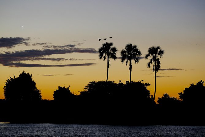 Birdwatching Cruise in Zambezi River with Breakfast - What to bring for better sightings