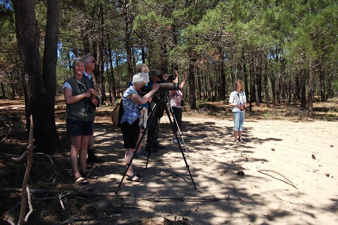 Birdwatching day around Sagres - Why Sagres makes a strong birdwatching base