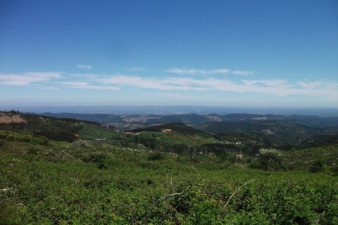 Birdwatching day in the Monchique hills - Lunch and an afternoon in Caldas de Monchique