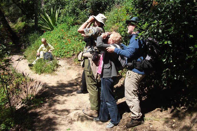 Birdwatching day in the Monchique hills - Is the $86.90 price fair?