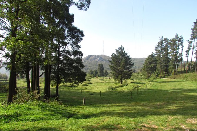 Birdwatching day in the Monchique hills - Who will enjoy this day most?