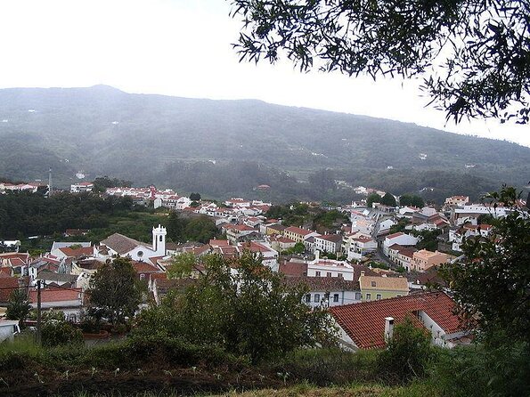 Birdwatching day in the Monchique hills - Birdwatching beyond the coast