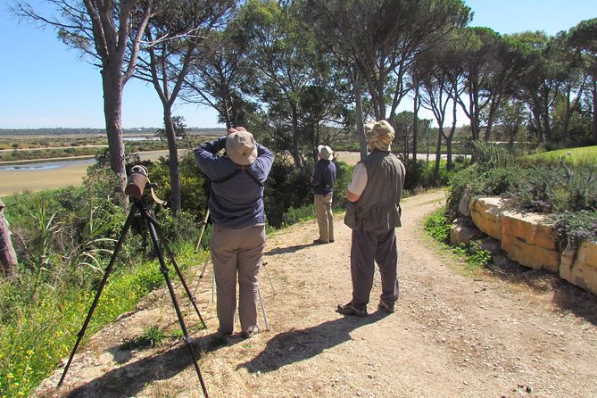 Birdwatching day in the Ria Formosa Natural Park - Ludo saltpans and the lagoon near Quinta do Lago