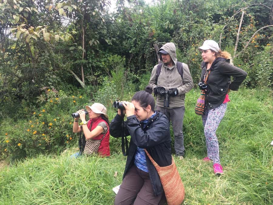 Birdwatching Day Tour at Chicaque Natural Park - Why the expert guide matters