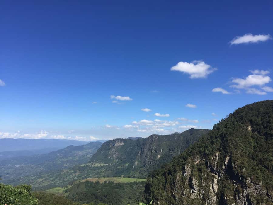 Birdwatching Day Tour at Chicaque Natural Park - Who will enjoy this most