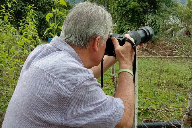 Birdwatching: Desaru's Winged Gems - Key points at a glance