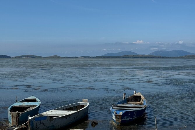 Birdwatching Experience in Narte Lagoon & Akerni Dunes - What the $179.31 group price really means