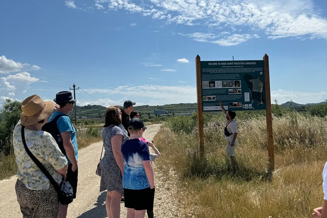 Birdwatching Experience in Narte Lagoon & Akerni Dunes - Who will get the most from this outing
