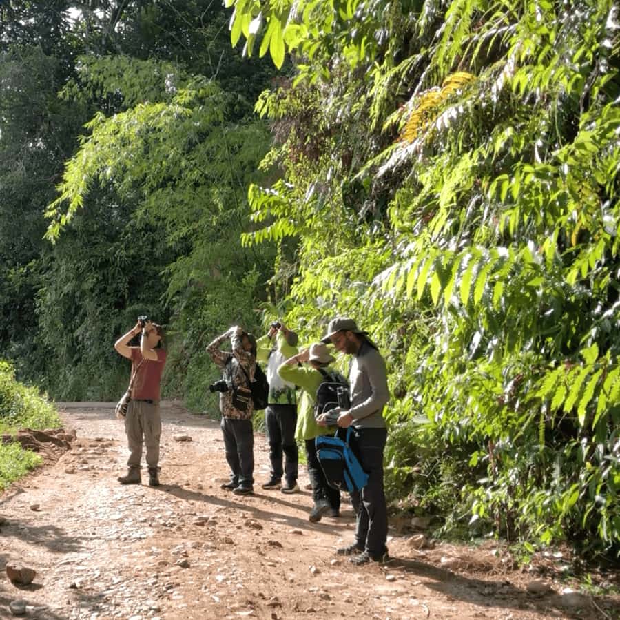 Birdwatching in Guatapé with Around 400 Bird Species - Breakfast first, with arepa and hot chocolate