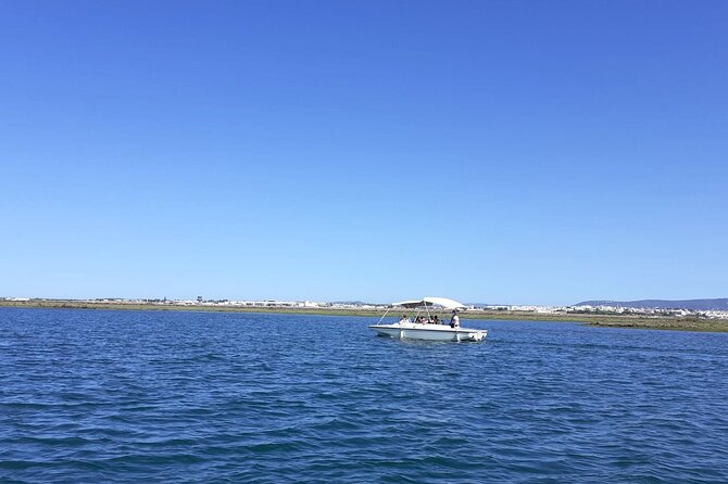 Birdwatching in Ria Formosa - Eco Boat Tour from Faro - Why Ria Formosa is best seen from the water