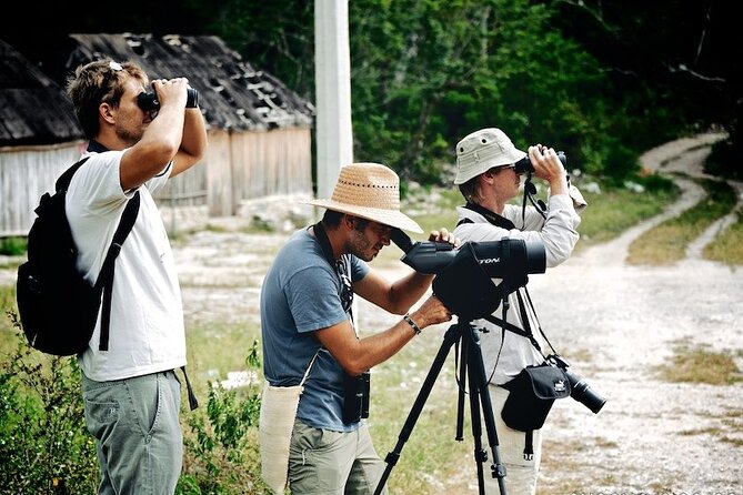 Birdwatching in Sian Ka´an Muyil from Tulum - Shared Group Tour - Why this morning works for birdwatchers and history fans