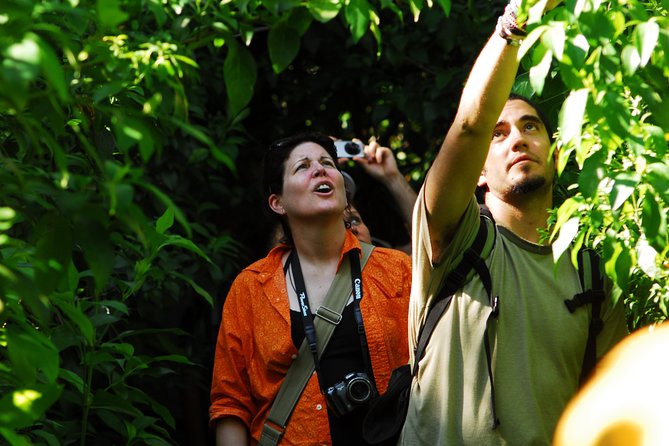 Birdwatching in Sian Ka´an Muyil from Tulum - Shared Group Tour - What the $119 price really buys