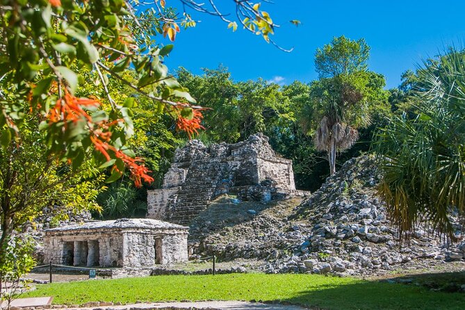 Birdwatching in Sian Ka´an Muyil from Tulum - Shared Group Tour - Who should book this Muyil outing