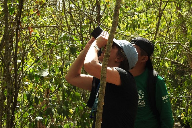 Birdwatching Sian Ka'an Biosphere Reserve - Birding gear, food, and the three-hour pace
