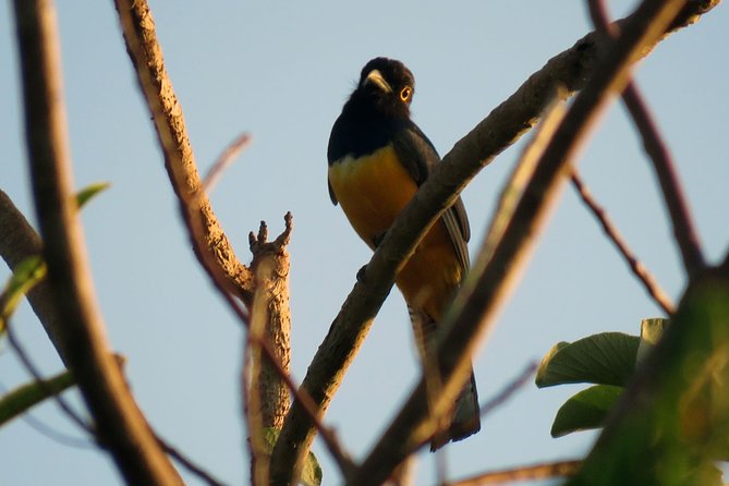 Birdwatching Sian Ka'an Biosphere Reserve - Is the $165 price fair?