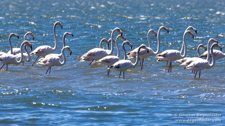 Birdwatching Solar Boat Tour Aveiro Lagon - Leaving Cais do Sal for the working Ria