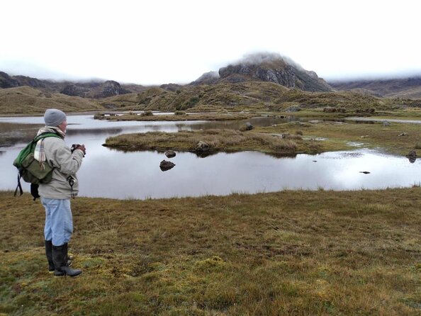 Birdwatching Tour in Cajas National Park from Cuenca - Key points at a glance