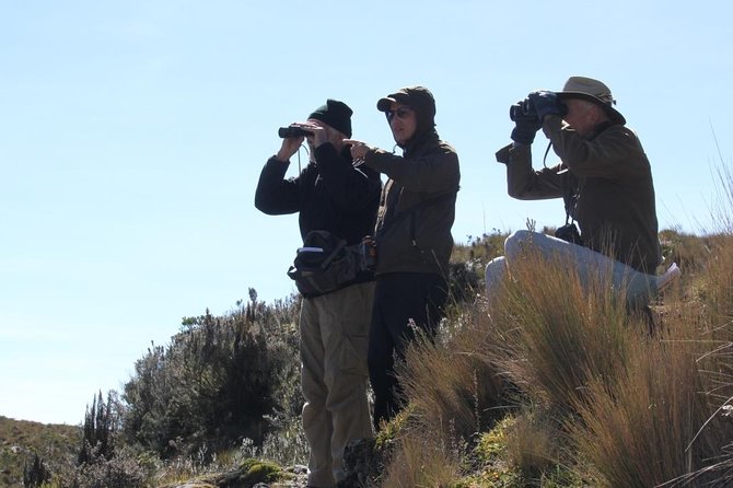 Birdwatching Tour in Cajas National Park from Cuenca - Starting at 6:30 a.m. from Cuenca