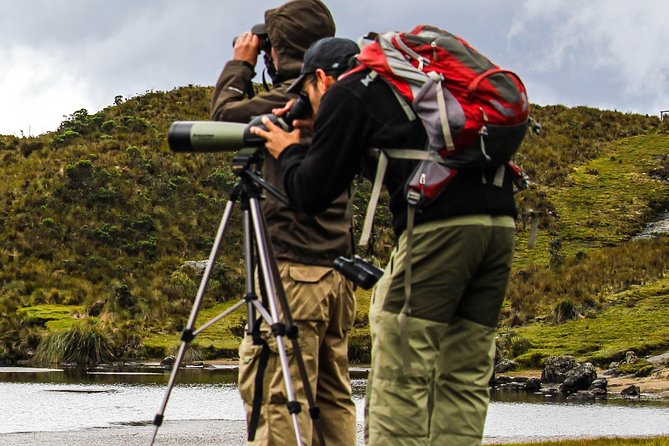 Birdwatching Tour in Cajas National Park from Cuenca - Lunch and the descent to Llaviuco Valley