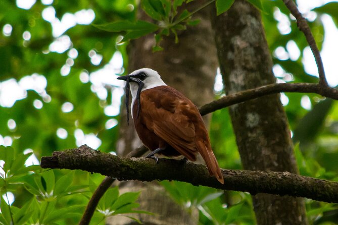 Birdwatching Tour: unlock the wonder, whether beginner or advanced - The guides are the main reason to book