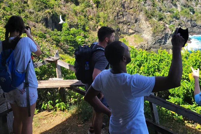 Birdwatching, Waterfall, Rainforest and Island Nature Tours - Little Tobago and other bird-focused choices