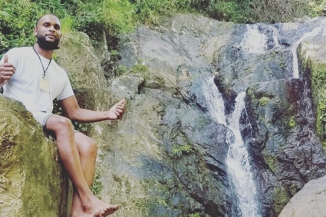 Birdwatching, Waterfall, Rainforest and Island Nature Tours - What the $90 price really buys