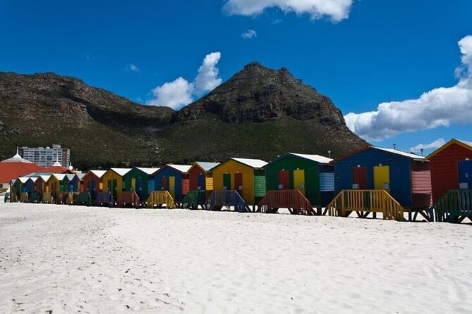Bo Kaap Cape Point Penguins at Boulders Beach Cape Town - Boulders Beach brings you close to African penguins