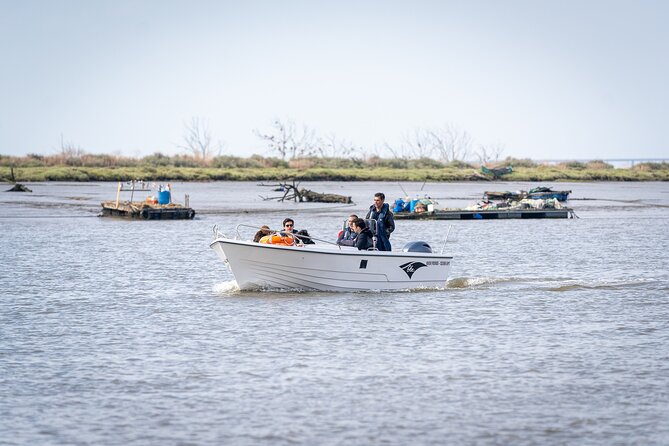 Boat Tour - Bird Observation in the Tejo Nature Reserve - Bird sightings change with the season