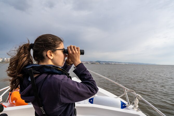 Boat Tour - Bird Observation in the Tejo Nature Reserve - What the $60.07 price includes