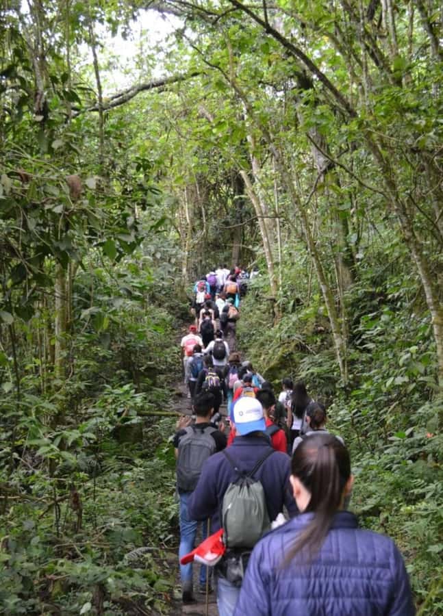 Bogota: Explore the forest and bird watching at Chicaque Natural Park - Walking to Chicaque Waterfall