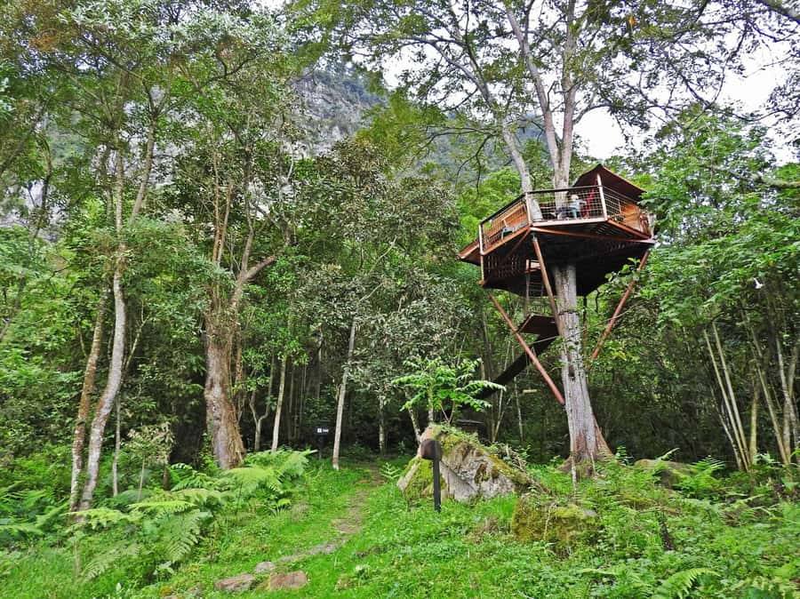 Bogota: Explore the forest and bird watching at Chicaque Natural Park - Lunch in the Middle of the Park