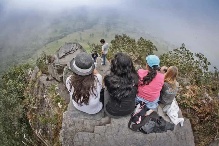 Bogota: Explore the forest and bird watching at Chicaque Natural Park - Bird Watching, Photography, and Quiet Time