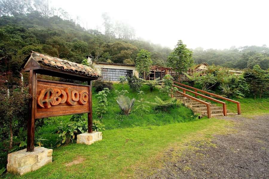 Bogota: Explore the forest and bird watching at Chicaque Natural Park - What the Guide Adds to the Experience
