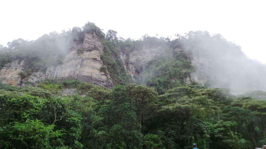 Bogota: Explore the forest and bird watching at Chicaque Natural Park - Is $127 a Fair Price?