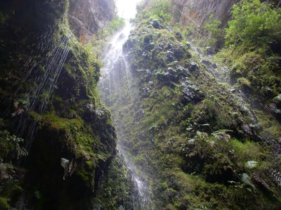 Bogota: Explore the forest and bird watching at Chicaque Natural Park - Who Should Book This Chicaque Trip?
