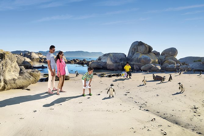 Boulders Beach Cape Town: Swimming With Penguin & Close Encounter Half Day Tour - A private ride makes the route easier