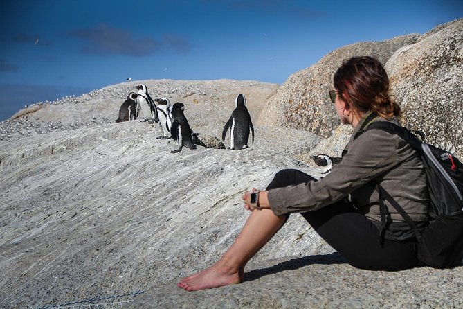 Boulders Beach Cape Town: Swimming With Penguin & Close Encounter Half Day Tour - Simon’s Town and Just Nuisance