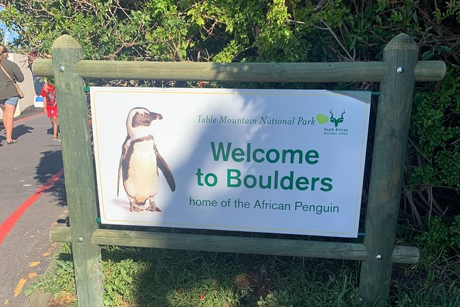 Boulders Beach Penguins and Seal Island Boat Trip Half Day Tour - Who should book this Cape Town outing?