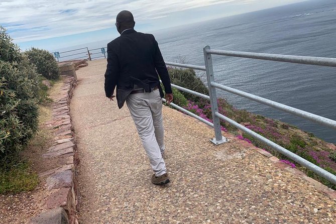 Boulders beach penguins and Wine tasting full day tour - Boulders Beach: the day’s main wildlife stop