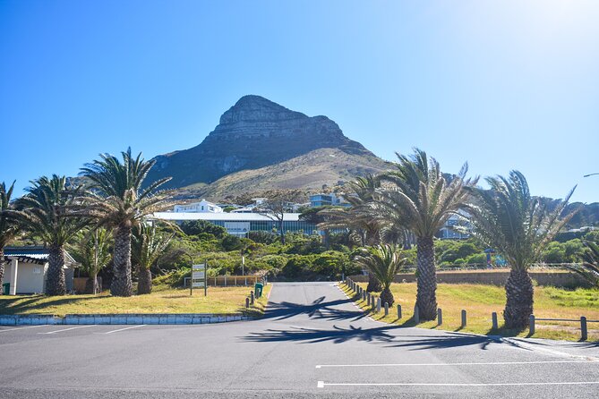 Boulders Beach Penguins Half Day Tour - Twelve Apostles and Hout Bay set up the coast