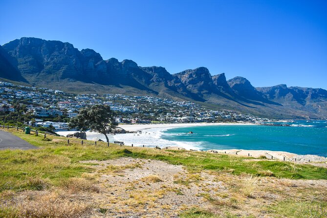 Boulders Beach Penguins Half Day Tour - Muizenberg closes the loop