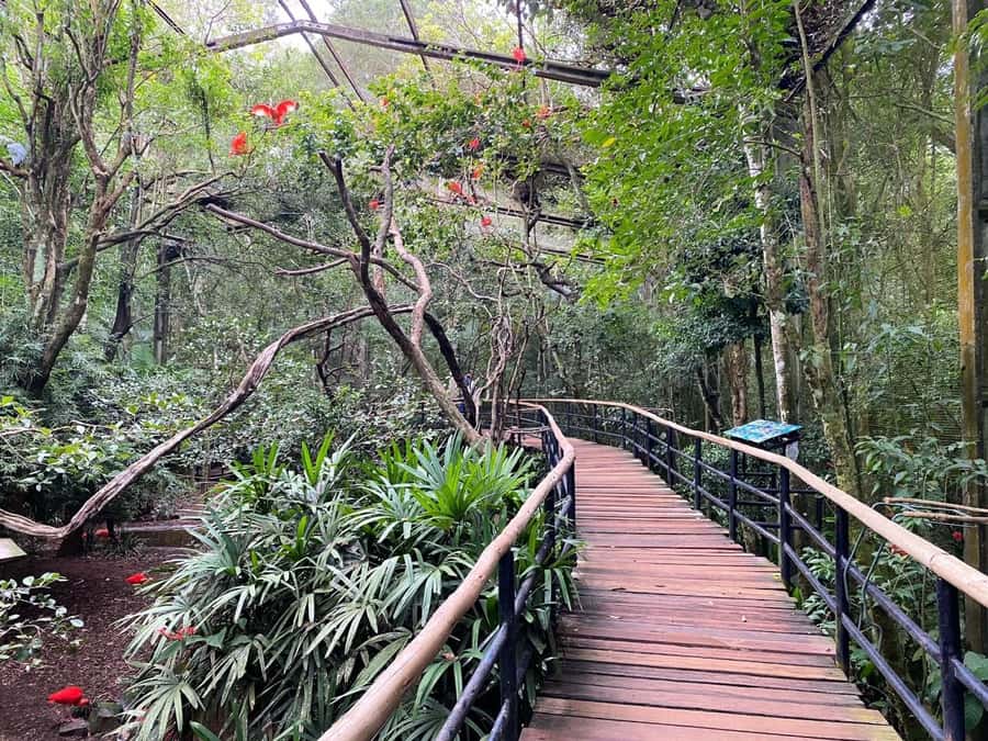 Brazilian Falls, Bird Park and Itaipu Dam - Itaipu Dam: an engineering lesson on a grand scale