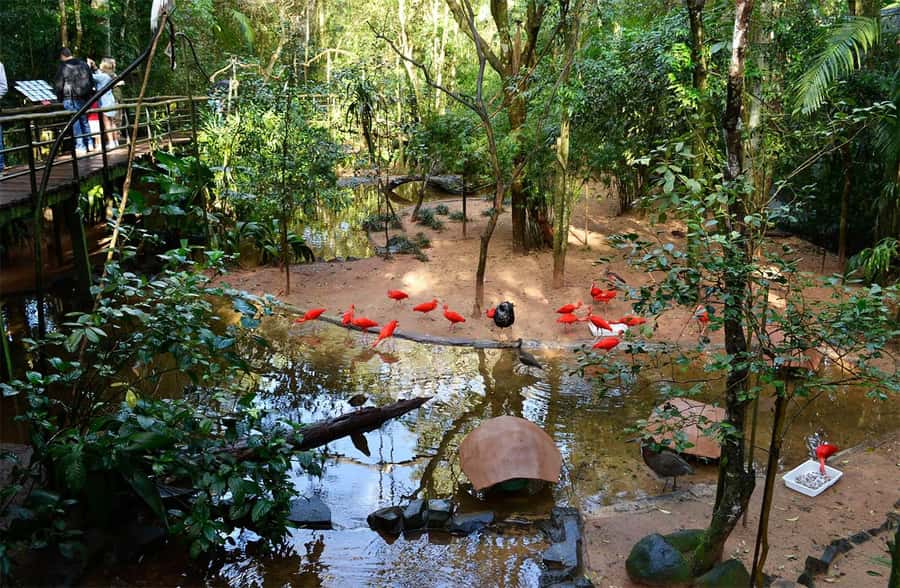 Brazilian Falls, Bird Park and Itaipu Dam - Who should book this experience?