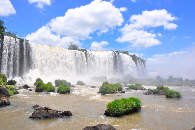 Brazilian Falls, Bird Park and Itaipu Dam from Foz do Iguaçu - Two hours among toucans and rescued birds
