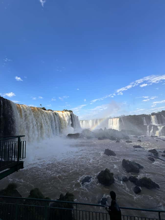 Brazilian Iguassu Falls,Bird park Boat Safari all tickets - Three Brazilian highlights in seven hours