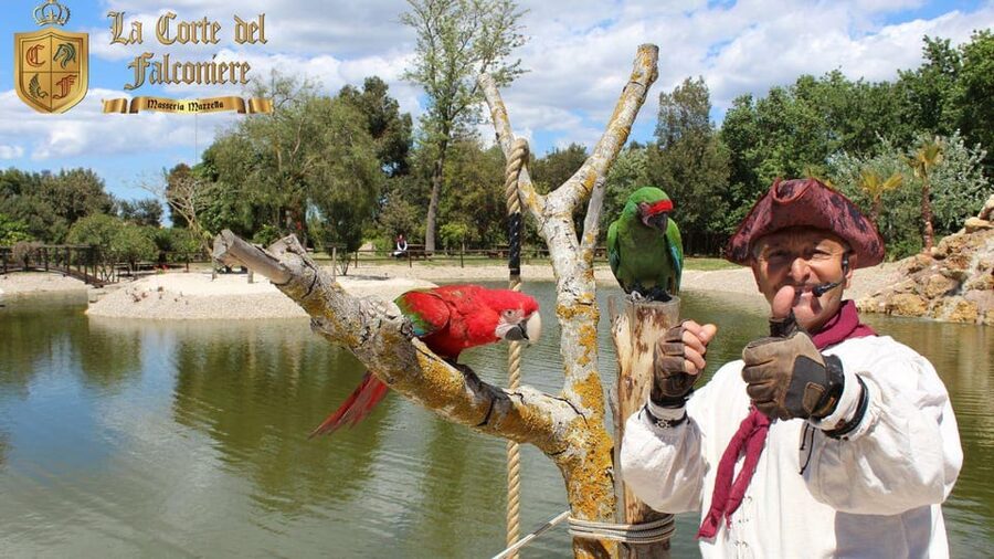 Breakfast with parrots at Masseria Mazzetta with wildlife park - What This Morning at Masseria Mazzetta Is Really Like