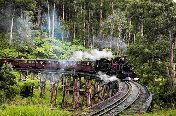 Brighton Bath Boxes & Puffing Billy & Penguin Parade 1-Day Tour - Transport, commentary and group size