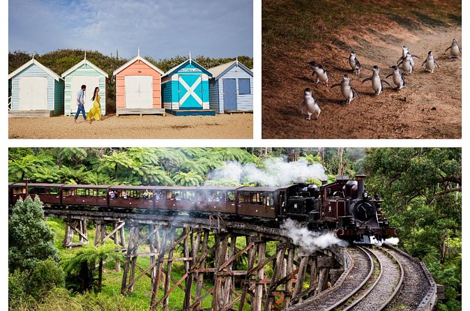 Brighton Bath Boxes & Puffing Billy & Penguin Parade 1-Day Tour - Who should book this Melbourne day trip?
